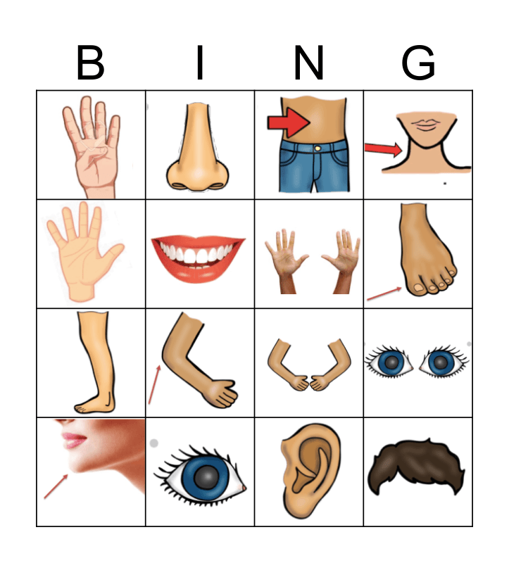 BODY PARTS Bingo Card