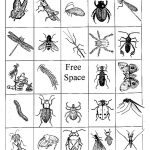 Bug Bingo Bug Activities Bingo Printable Bingo Cards