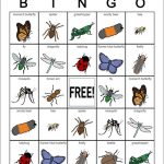 BUG CARDS EDIBLE INSECTS DOWNLOAD BUG BINGO CARDS