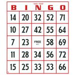 EZ To Read Bingo Cards FREE Shipping