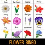 Flower Bingo