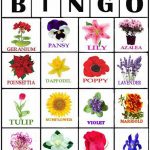 Game Flower Bingo Free Printable Bingo Cards For
