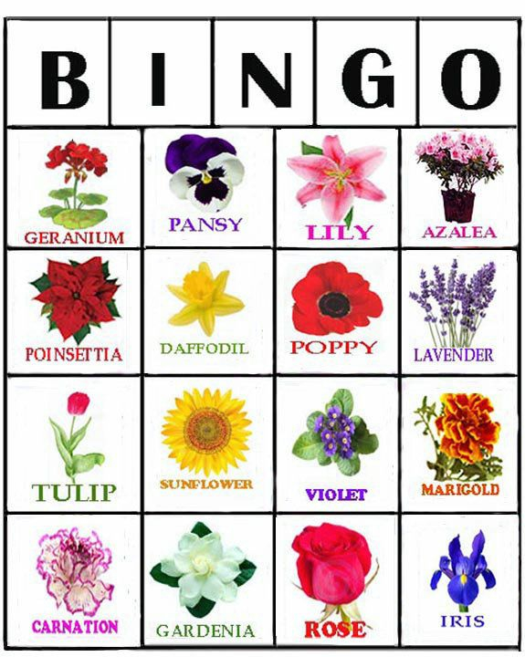 Game Flower Bingo Free Printable Bingo Cards For 