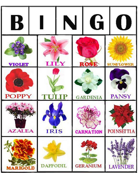 Game Flower Bingo Free Printable Bingo Cards For 