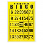 Jumbo Large Print Bingo Cards ON SALE FREE Shipping