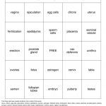 Naughty Bingo Bingo Cards To Download Print And Customize