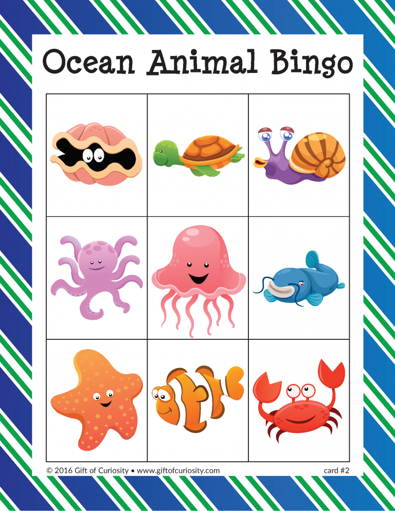 Ocean Animal Bingo Under The Sea Animals Animals For