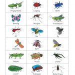 Pin By Scholastic On Bug Stuff Bug Bingo Fall Preschool