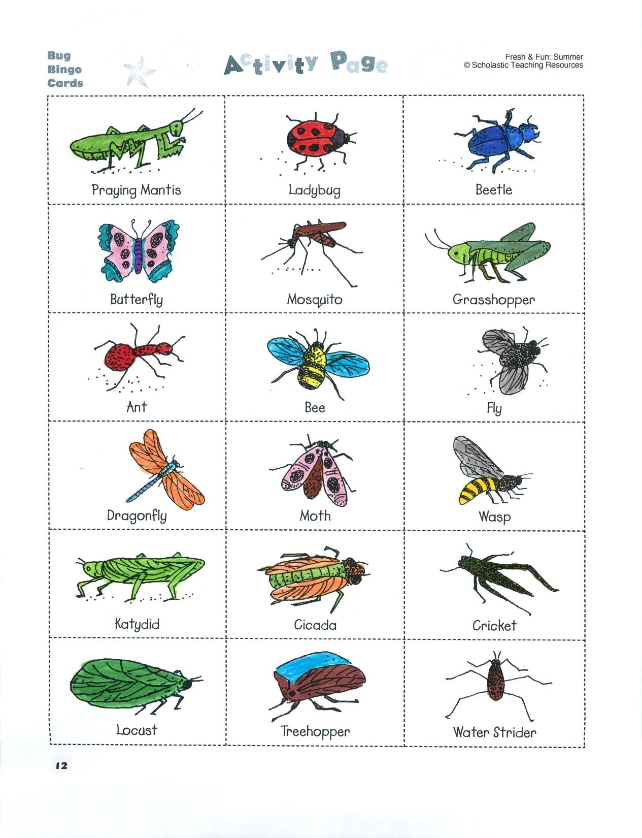 Pin By Scholastic On Bug Stuff Bug Bingo Fall Preschool 