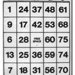 Sea Bay Game Company G953 Extra Jumbo Bingo Cards 10 X