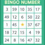 Bingo Card Generator Free Printable Customize And Print