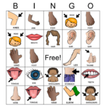 Body Parts Bingo Card