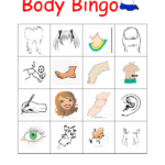 Body Parts Bingo Printable Free Printable Templates