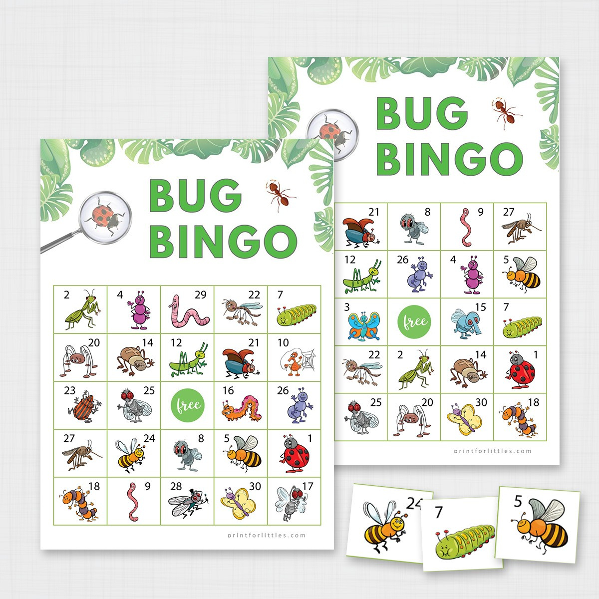 Bug Bingo Printable Cards