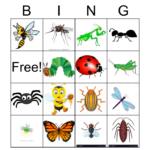 Bugs Bingo Card