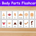 Free Body Parts Flashcards Printables Bingo Sheets For Kids Shiftpasa
