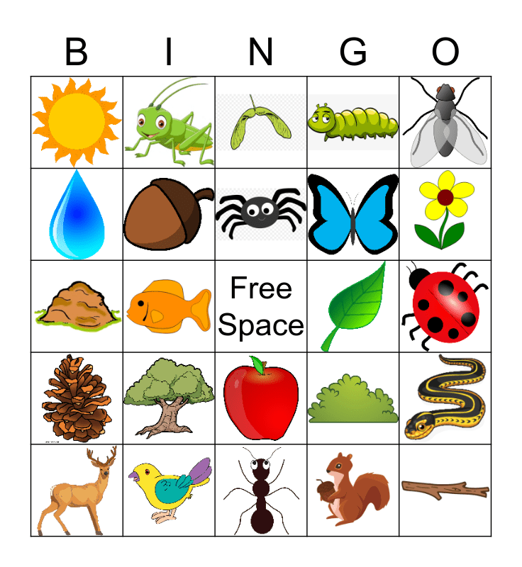 Nature Bingo Card