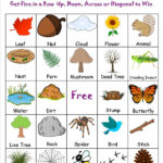 Nature Bingo Free Printable