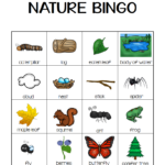 Nature Bingo Printable Activity Take A Hike With Your Kids Momgineer