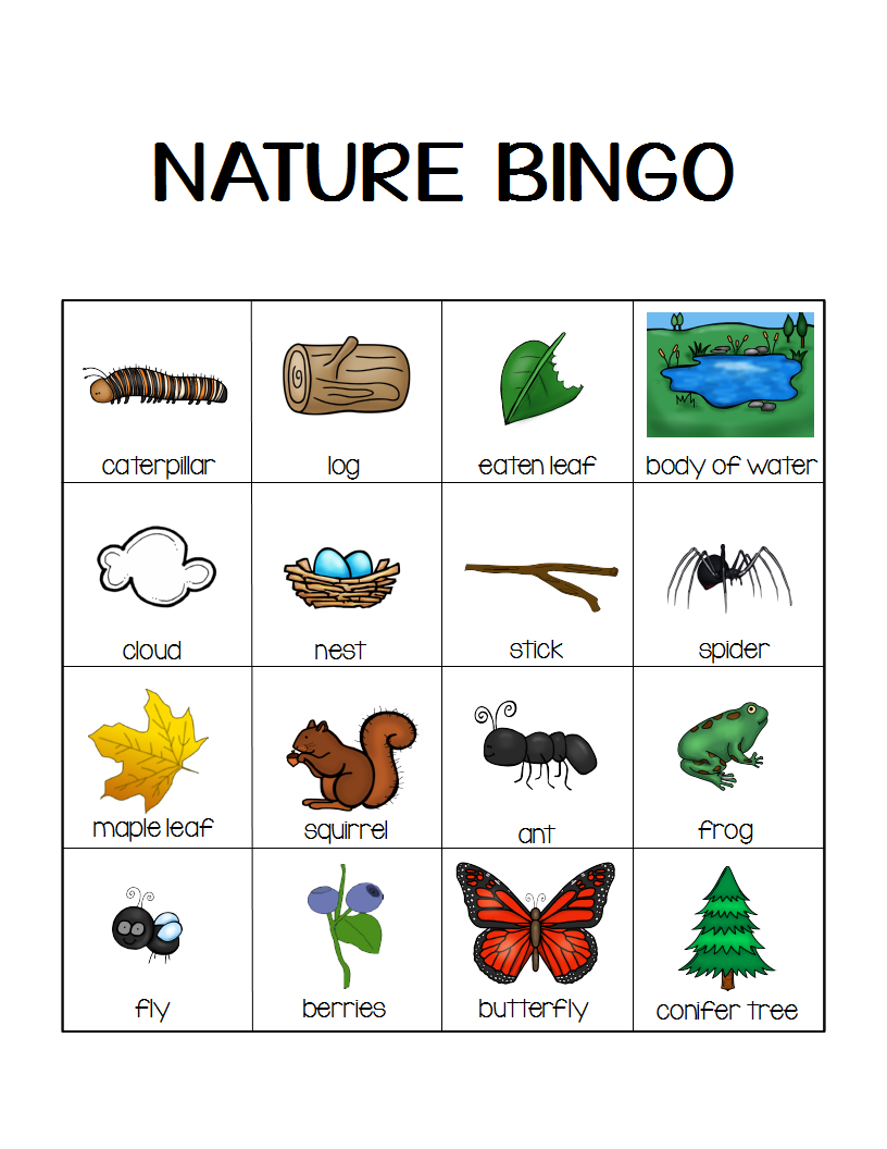 Nature Bingo Printable Activity Take A Hike With Your Kids Momgineer