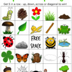 Nature BINGO Tree House Learning