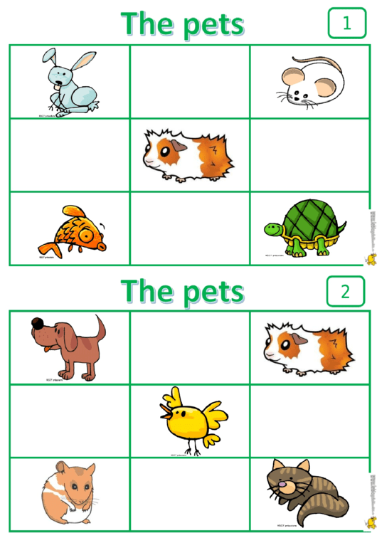 Pets Bingo Card Template Set Printable Pdf Download