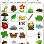 Printable Nature Bingo Cards Printable Bingo Cards